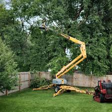 Best Lawn Grading and Leveling  in Urbandale, IA