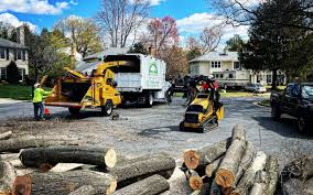 Best Emergency Tree Removal  in Urbandale, IA