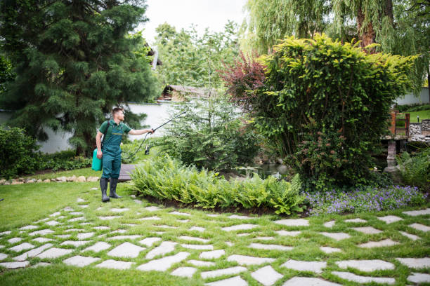 Best Landscape Design and Installation  in Urbandale, IA
